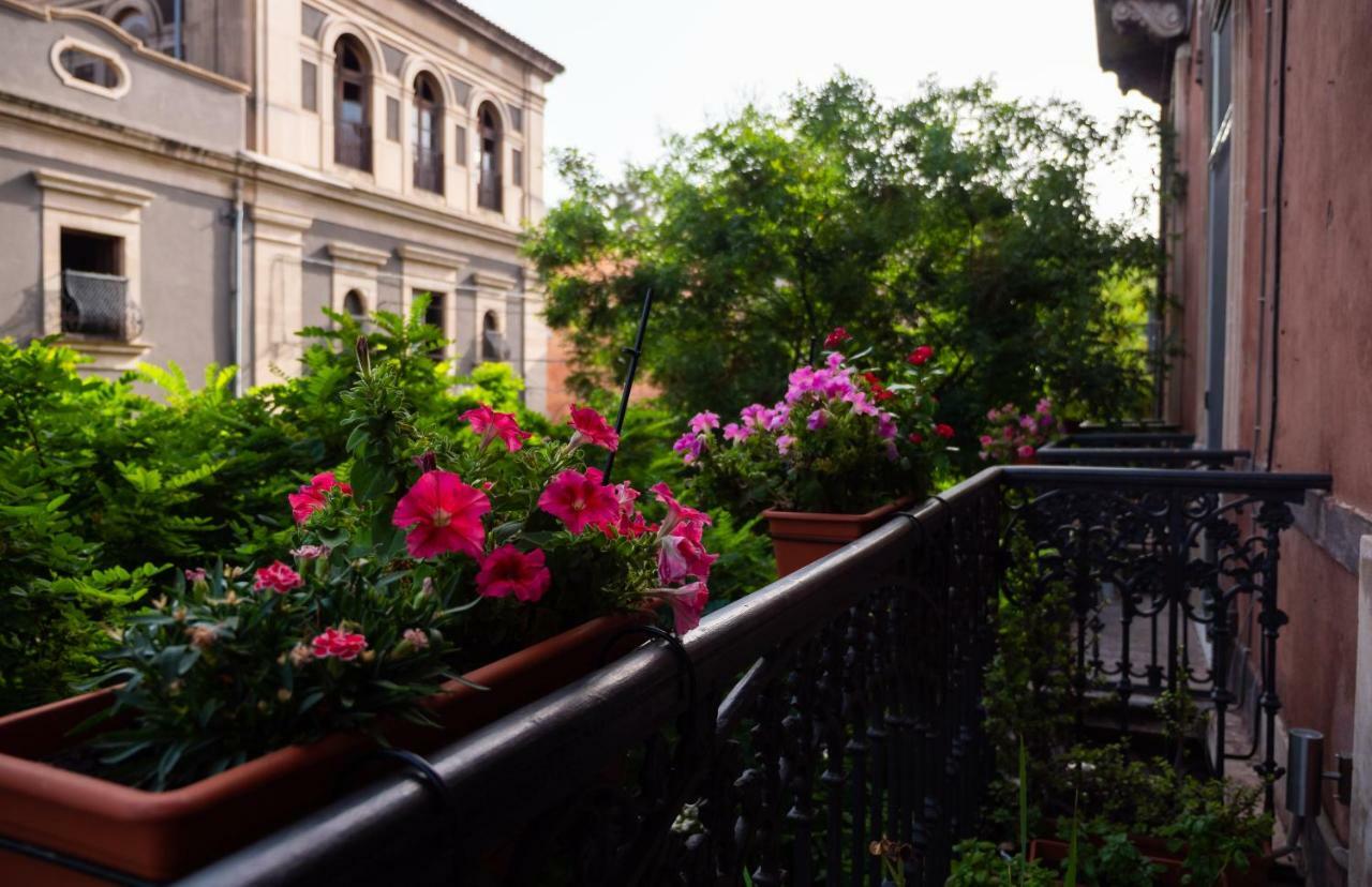 Antico Corso Bed & Breakfast Catania